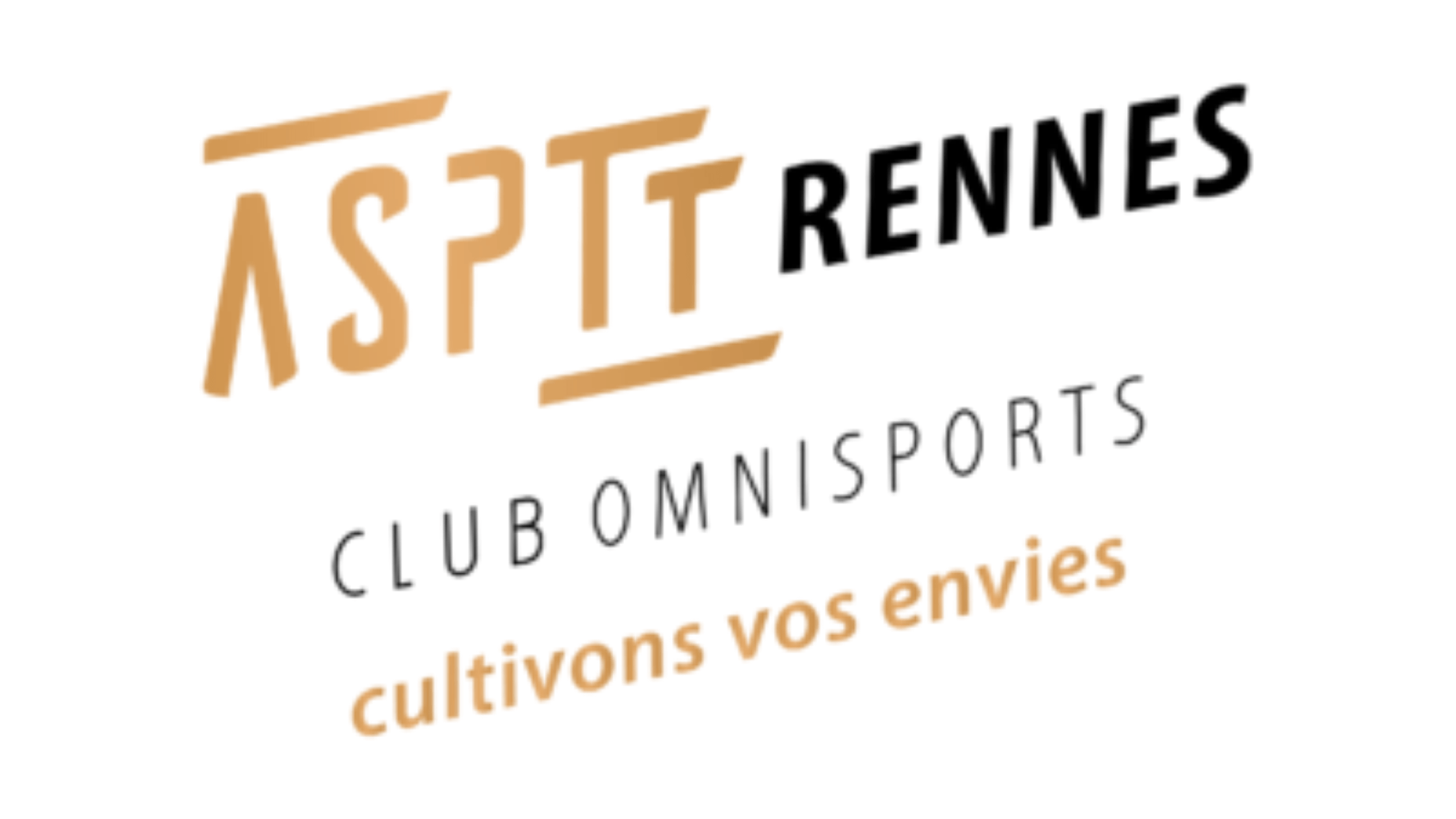 bannière ACE (19) sport adapté à Rennes