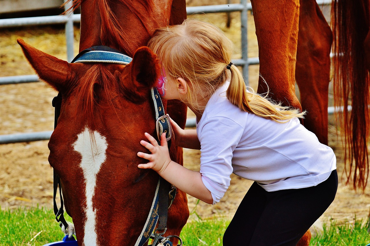 un enfant caresse un cheval